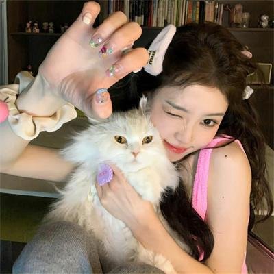 白莲花度假村第一季 在线观看
